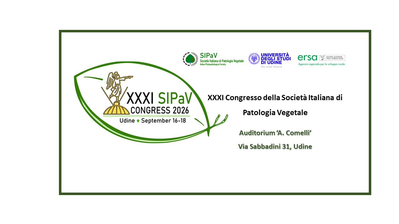 XXXI SIPaV Congress